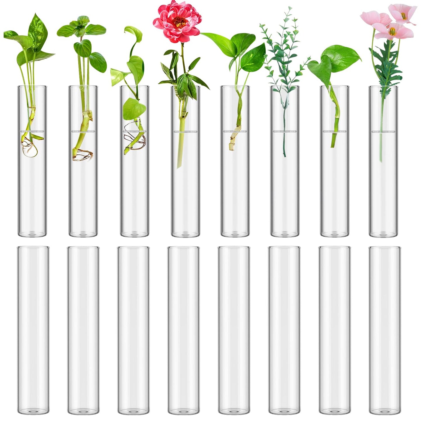 16 Tube Glass Plant Propagation Stations Clear Glass Test Tubes Tiered Planters Accessories for Home Office Plant Hanger Flower Vases Wall Decor Hydroponic Cuttings Clear Vases