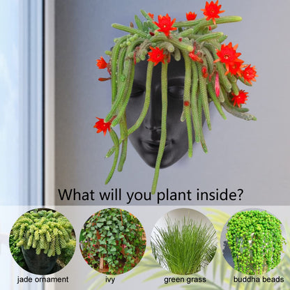 Notakia Face Planter Pot Wall Mounted Outdoor/Indoor Planter with Drainage for Succulents, Cactus, and Small Plants Unique Home Decor Gift for Friends and Family (Black)