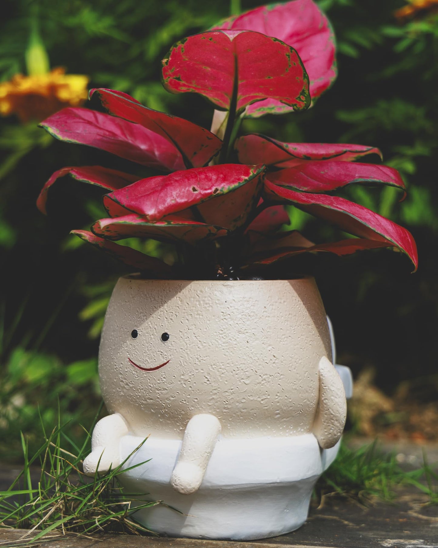 GaloTrek Smily Face Planter Pot Funny Toilet Plant Pots Cute Resin Flower Head Planters Succulent Pots for Indoor Outdoor Plants Unique Bathroom Planter with Drainage Hole (Small)