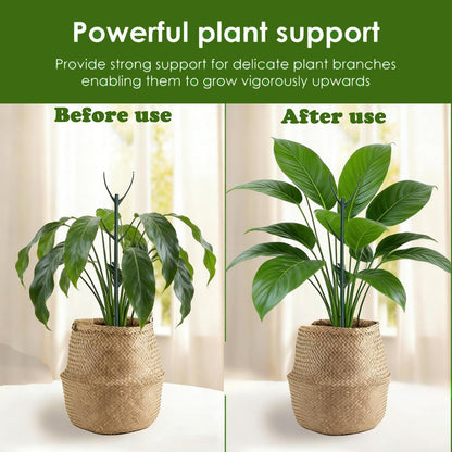 Stackable Monstera Moss Pole - 10 PCS Coir Plant Support Stakes for Indoor Plants, Bendable Totem Pole for Climbing Vines, Money Plant | Durable Indoor Plant Stakes (10 Pack)