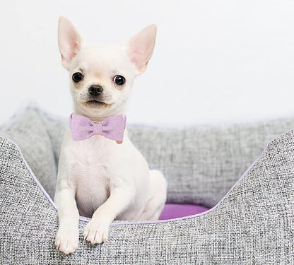 DOGWONG Cotton Dog Collar with Bow, Purple Pet Collar Durable Adjustable Puppy Dog Collar for Small Medium Large Dogs