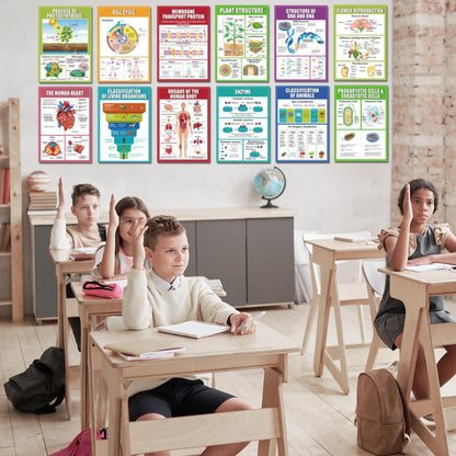 EggSun 16 Pcs Biology Science Posters for High School Classroom Decorations, 11 x 16in Life Science Poster Charts for Teachers Middle School Supplies Education Classroom Bulletin Board Wall Decor