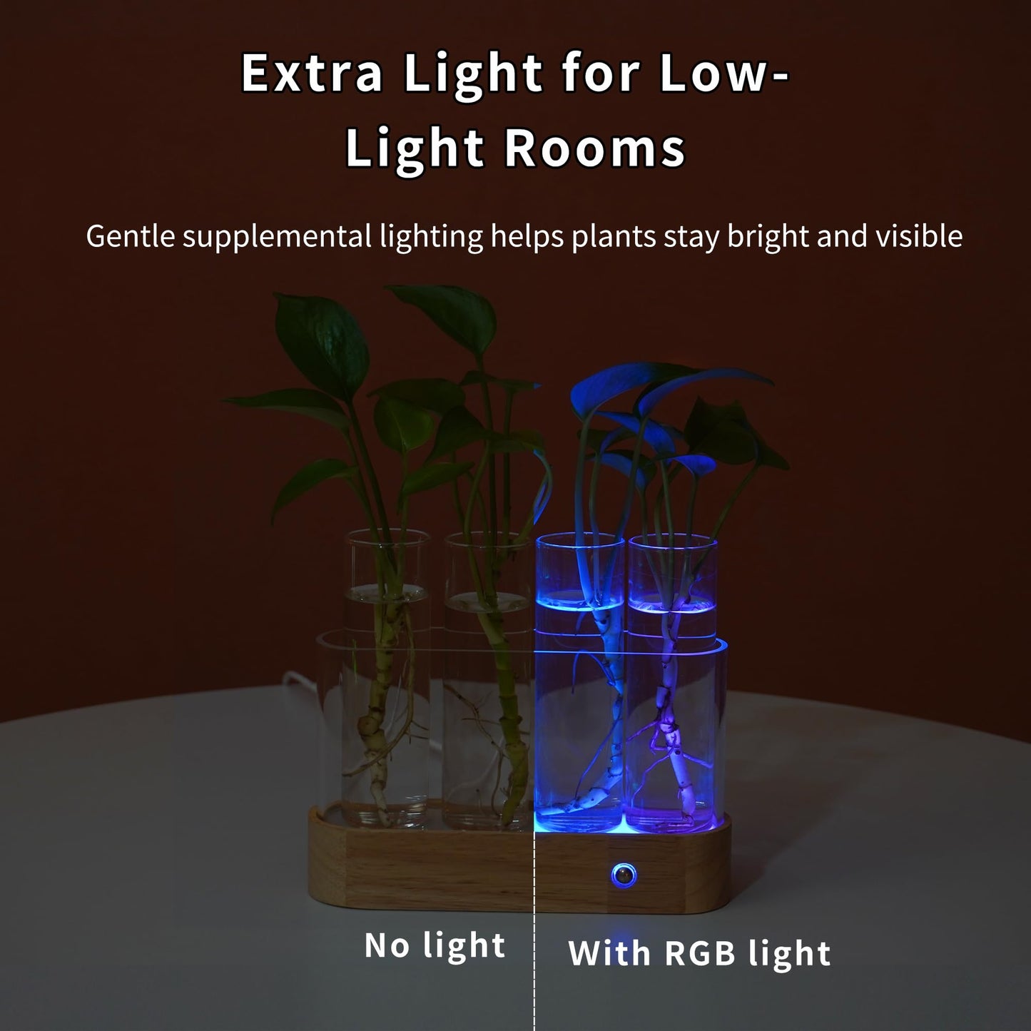 Plant Propagation Station with RGB Lights, Wooden Stand, 4 Glass Test Tubes for Hydroponic Plants, 9 Lighting Modes, Unique Gift for Plant Lovers