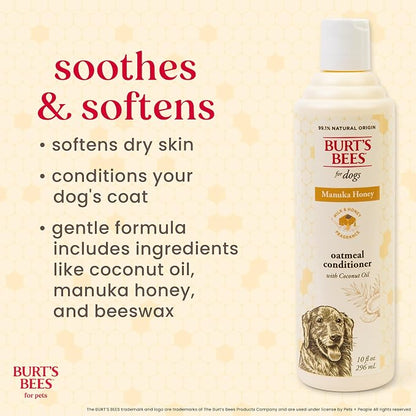 Burt's Bees for Pets Manuka Honey Oatmeal Conditioner for Dogs, Colloidal Oatmeal, 95%+ Natural Origin, No Sulfates, Parabens or Phthalates, Leaves Coat Soft & Shiny, Milk & Honey Scent, 10 Fl Oz