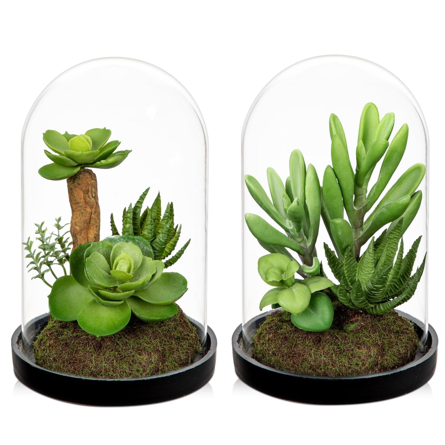 GnFlus Set of 2 Artificial Succulents Plants in Glass Dome with Featuring Sand Moss, Small Fake Aloe Succulents Plants Faux Plants Indoor Decor for Home Office Table Desk Shelf Room Hostess Gift