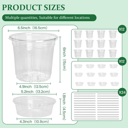 Bluepro 12 Pack 6.5 Inch Clear Self Watering Plant Pots with Bottom Water Tray & Watering Rope, Transparent Nursery Pots with Drainage for Seedlings, Herbs, and Houseplants