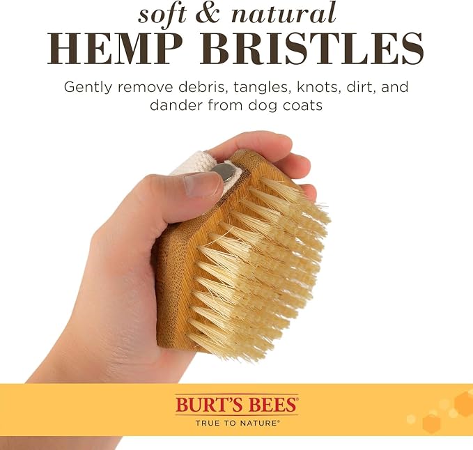 Burt's Bees for Pets Palm Brush with Hemp Bristles for Large Dogs, Ergonomic Handle Reduces Wrist Stress, Removes Dirt and Debris, Ideal for Daily Grooming, Made of Bamboo & Recycled Materials - 2 Pk