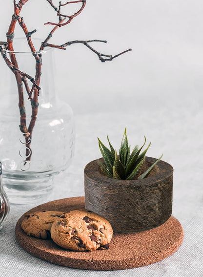 Serene Spaces Living Dark Wood Plant Pot - 2.8" x 4.5" - Stylish Indoor Wooden Pot Perfect for Small Plants, Succulents, and Home Decor Accents, Food Safe