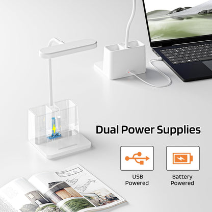 AXX Rechargeable Small Desk Lamp for Home Office Bedroom, Study Table Light for Kids Teens, White, LED, Pen Holder, Mini, Gooseneck, College Dorm Room Lighting for Computer Keyboard Desktop Task