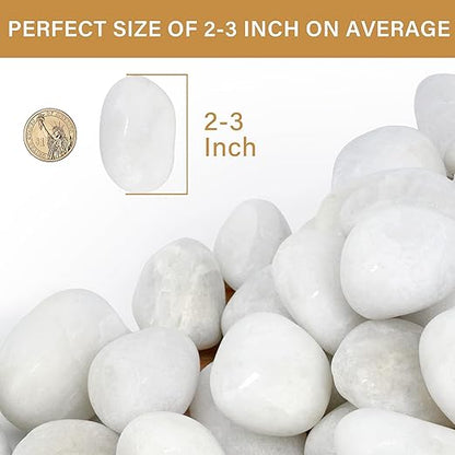 NUPICK 6lb White River Rocks for Plants Indoor, 2-3Inch White Pebbles for Vases Fillers, Decorative Gravel for Fish Tank, Natural Polished Stones for Succulent, Bonsai, Landscaping, Bird Baths