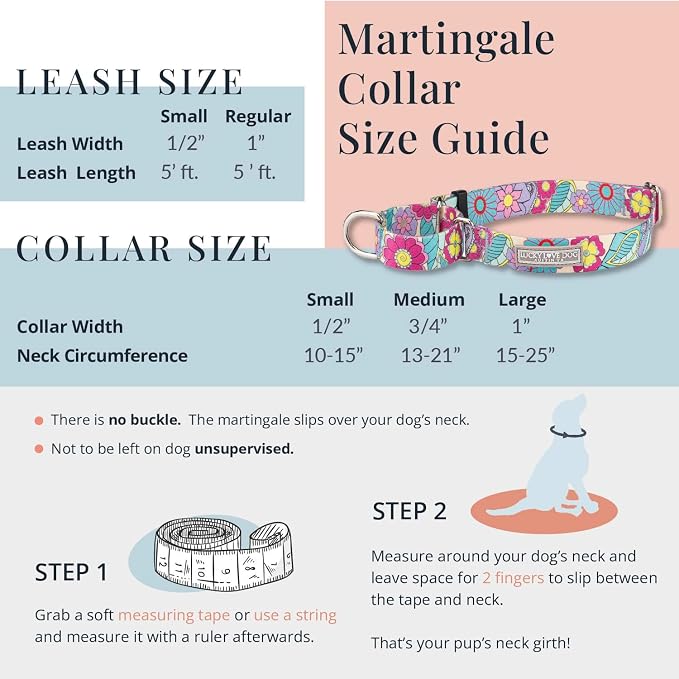 Lucky Love Dog Martingale Collar and Leash Set, Premium Fun Girl No Slip Collars, Strawberry Martingale Dog Collar and Leash Set, Great for Whippets, Greyhounds, and More (Sweet Berry, Large - Combo)