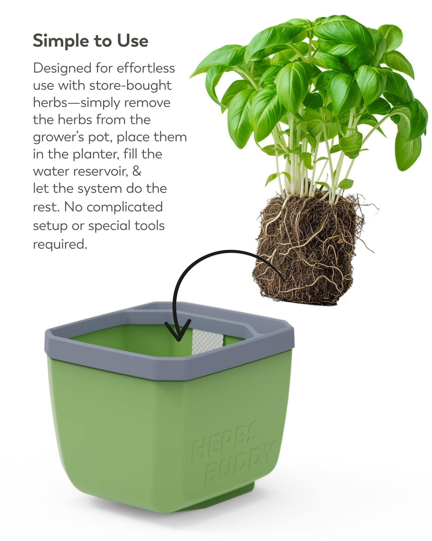 BUZZY Seeds Herb Buddy Self-Watering Herb Planter with Water Level Indicator – Indoor Kitchen & Windowsill Planter (Green)