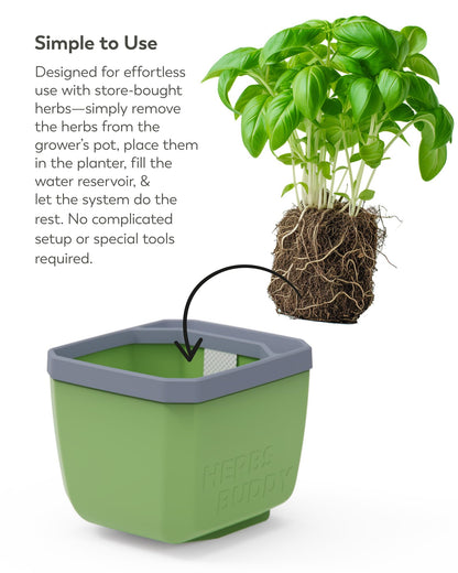 BUZZY Seeds Herb Buddy Self-Watering Herb Planter with Water Level Indicator – Indoor Kitchen & Windowsill Planter (Green)