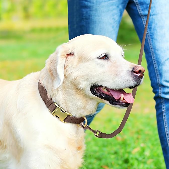 Genuine Leather Dog Collar - Adjustable Pet Collar with Quick Release Metal Buckle, Soft Skin Friendly Real Leather Collar for Small, Medium, Large Dogs (Dark Brown Collar + Rope, S：Fit 8-16" Neck)
