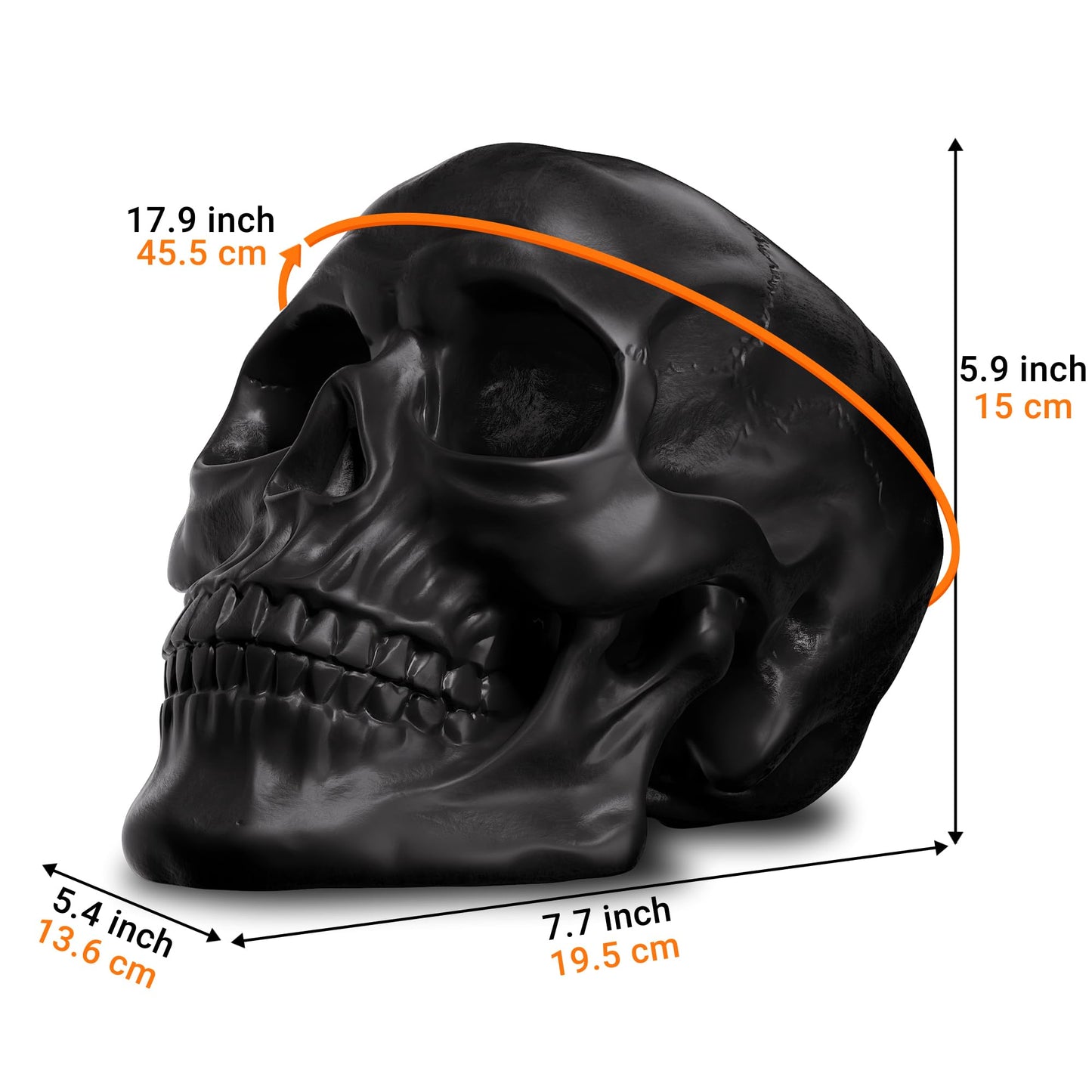 READAEER Resin Skull, Human Head Model for Home Decoration, Halloween Statue, Skull Model for Bookshelf and Desktop (Black)