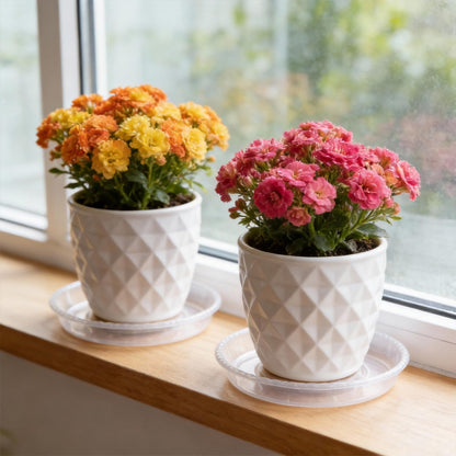 JOIKIT 20 Pack 12 Inch Plant Saucers, Clear Plastic Flower Pot Saucer, Plant Trays Pot Tray for Indoor Outdoor Planters Potted Plants