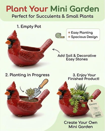 Orxiery Cardinal Bird Succulent Planter, Red Resin Decorative Flower Pot for Indoor Plants, Small Bird Planter for Desk Windowsill Garden Decor, Unique Gift(Hummingbird)