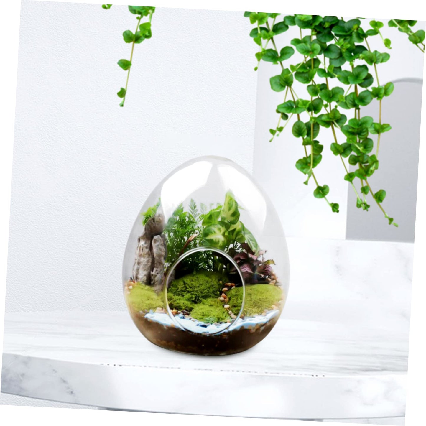 Totority Shape Moss Bottle Glass Terrarium for Plants Landscape Container Decorative and Functional Water Vase for Home and Garden
