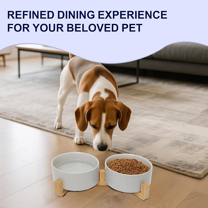 Dog Food Bowl, 28.7 oz Ceramic Food and Water Bowls for Dogs, Pet Dishes Set with Wood Stand, for Small Size Dog and Cat, No Spill Feeding Station with Weighted Base, Grey
