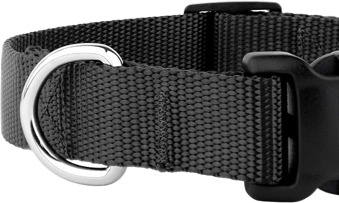 Country Brook Petz - Everyday Nylon Dog Collar and Leash - 10+ Cool Colors (1 Inch, Large, Black)