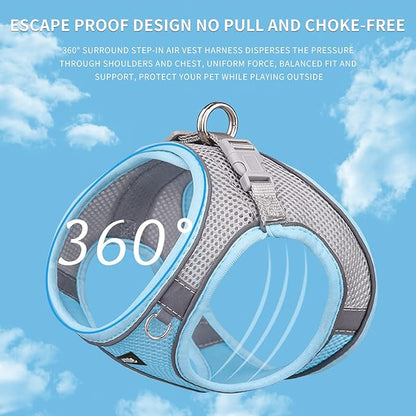 AIITLE Small Harness for Puppy with A Leash - Dog Vest Harness with Super Breathable Mesh, Reflective No-Pull Pet Harness for Outdoor Walking, Running for Small Dogs, Cats Blue XXS
