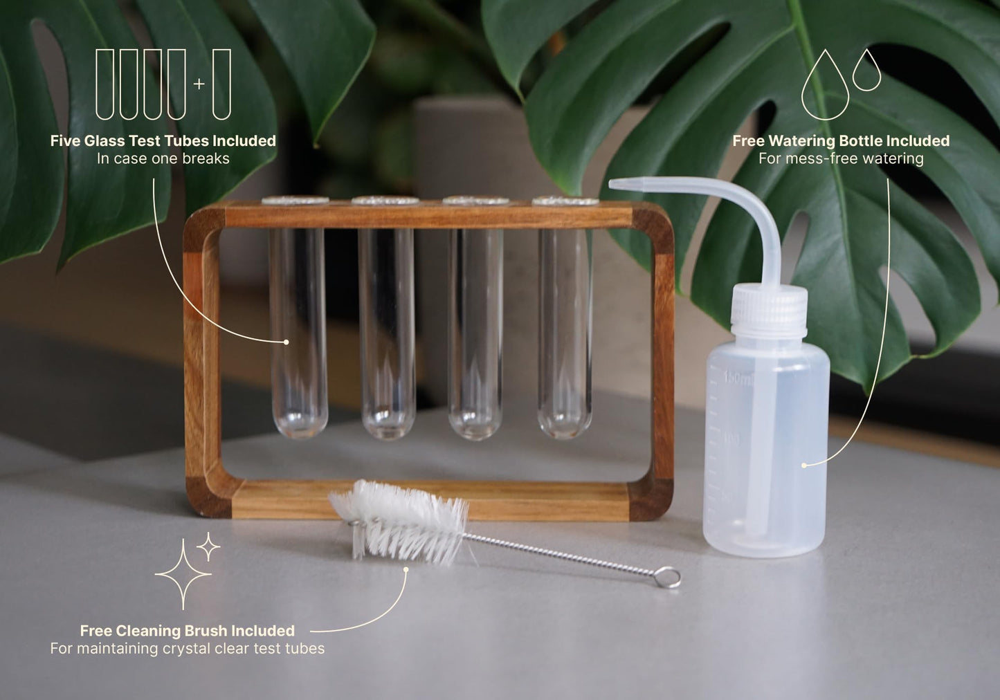 Source & Plot Plant Propagation Station - Acacia Wood Stand with 4 Glass Test Tubes, Tabletop Hydroponic Terrarium Planter Rack for Rooting & Houseplant Decor, Gift for Plant Lovers