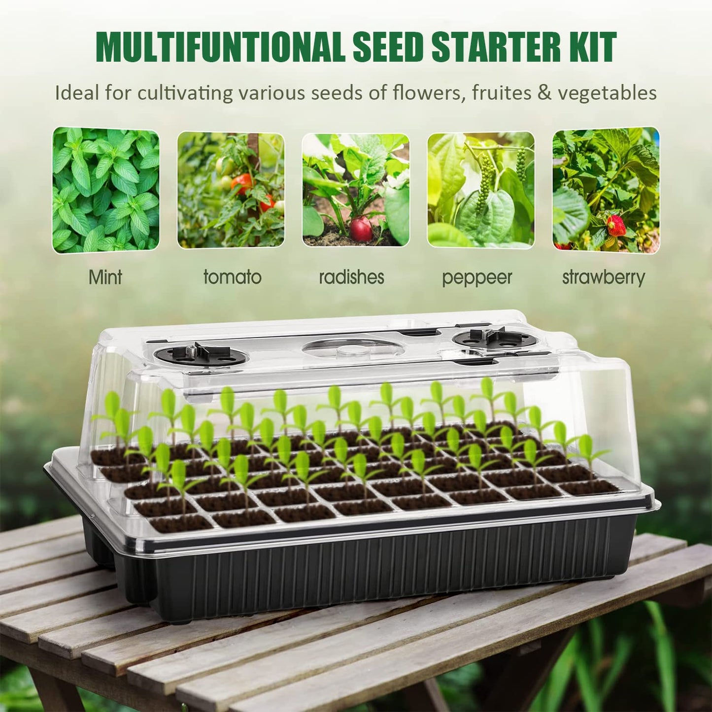 Carzos Seed Starter Tray Kit with Grow Lights, 2 Pack 80 Cells Seed Trays with Humidity Dome, Mini Greenhouse for Seeds Growing Starting Sprouting Germination