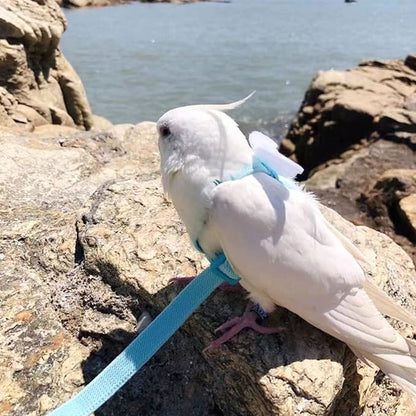 Pet Parrot Bird Harness Leash Adjustable Bird Flying Harness Traction Rope with Cute for Parrots Budgerigar Lovebird Cockatiel Mynah Outdoor Training Toy (Quaker/Sun Conure,White)