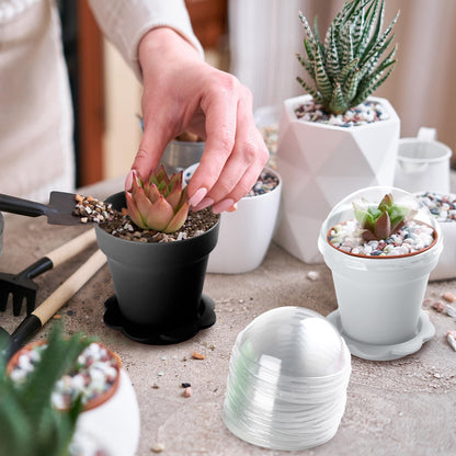 Domensi 80 Pcs 3" Cupcake Plant Nursery Pots with Humidity Dome and Saucer Small Plastic Gardening Pot Plant Containers Cups Seedling Planter Seed Starter Pots for Flower Succulent Indoor (Multicolor)