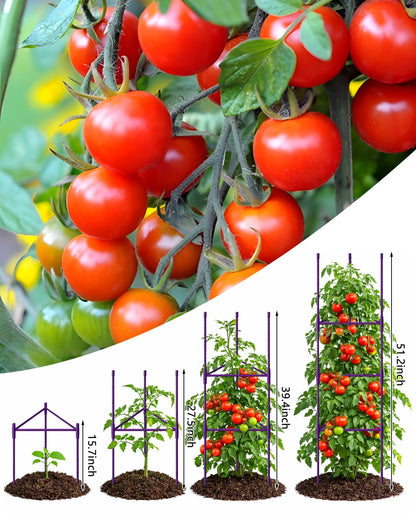 Growsun 51 inch Tomato Cage Heavy-Duty Plant Support Cucumber & Vine Vegetables – Adjustable Purple Metal Garden Trellis for Climbing Plants, Indoor & Outdoor Use, 3 Pack