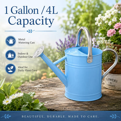 1 Gallon Metal Watering Can for Indoor Outdoor Plants, Galvanized Steel Watering Can with Removable Spout, 2 Stainless Steel Handles, Garden Flower Watering Pot