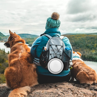 Collapsible Dog Bowls-2 Pack Large Size for Large/Medium Dogs, Pet Travel Water Bowl, Dogs Cat Portable Water Bowl, Dog Pet Feeding Watering Dish Outdoor Hiking Parking Traveling with 2 Carabiners