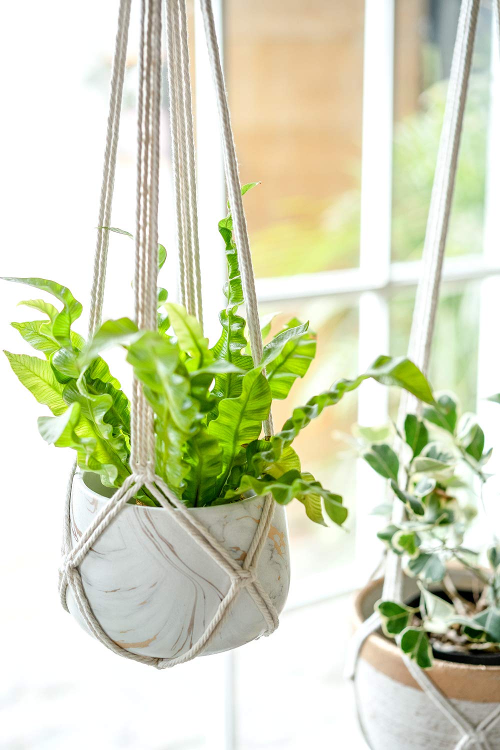 Dahey Macrame Plant Hanger Set of 3 with Hooks Indoor Hanging Planter Basket 35"/29"/23" and Set of 2 Macrame Plant Hanger Indoor Hanging Planter Basket
