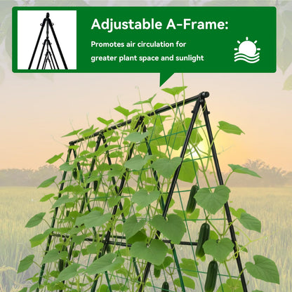 Trellume Cucumber Trellis - 49.4"*49.4" Metal Garden Trellis for Climbing Plants, Garden Trellis with Plastic-Coated Steel Pipe, A Frame Trellis for Cucumbers, Peas, Morning Glories(Black)