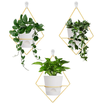 Koalaime 3 Sets Wall Planters for Indoor Plants Geometric Hanging Planters for Indoor Plants - Self-Watering Flower Pots with Black Metal Holder, Mounted Succulent Planter, 5" Black Plant Pot