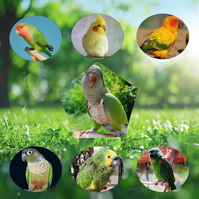 Snap-Closure Parrot Diaper Flight Suit for Cockatiels, Lovebirds & Medium Birds Cotton Washable Escape-Proof Harness with Leash Set(Golden Sun Model+1 Meter Rope)