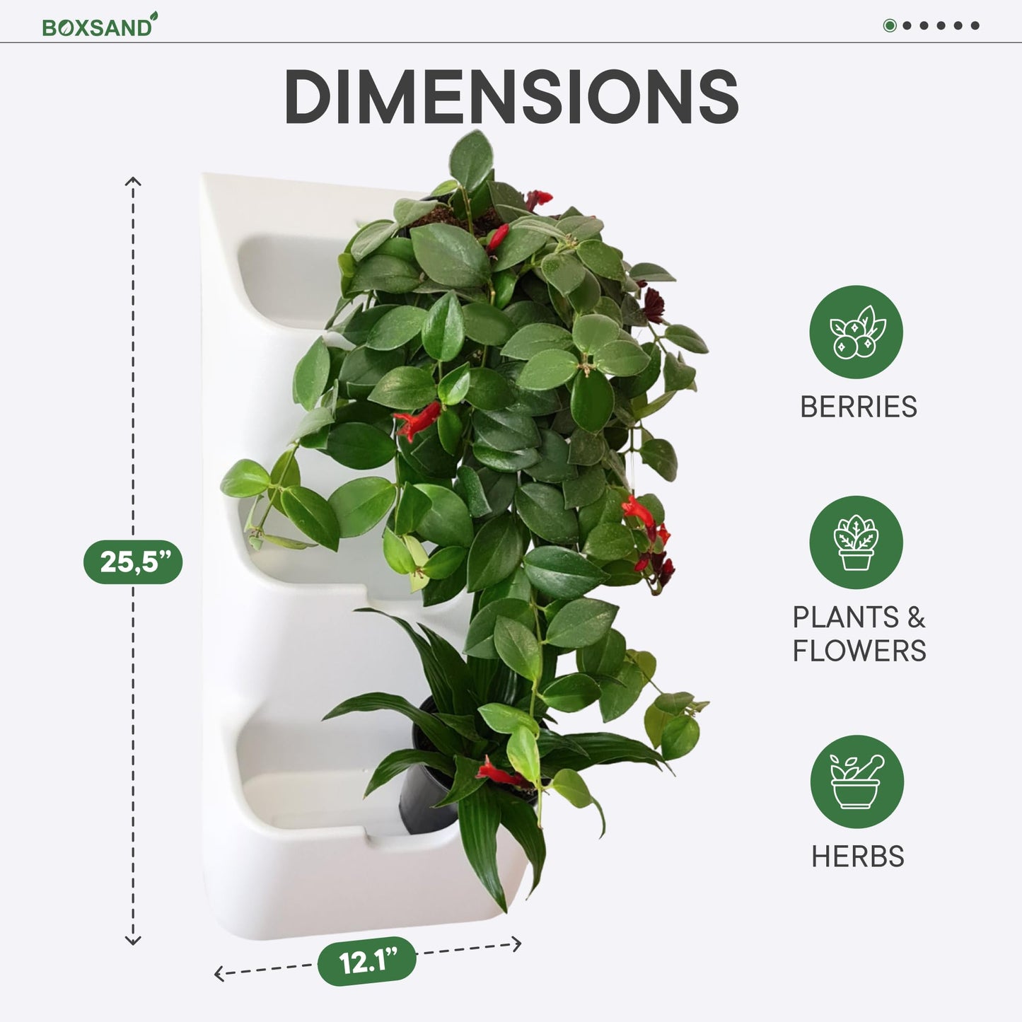 BOXSAND-6 (12"x26") Living Wall - Wall Planter, Vertical Garden for 6 Plants, Indoor/Outdoor, 2 Screws Install (White)
