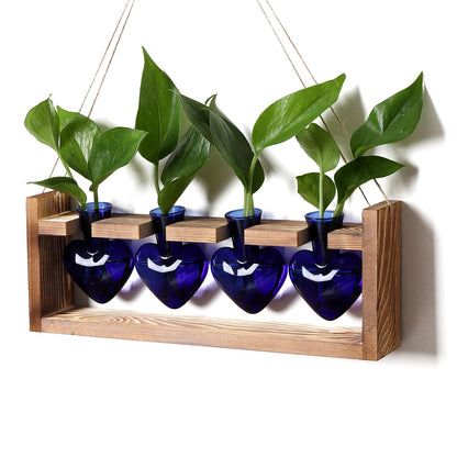 CYZglass Heart Plant Terrarium Kit Gift for Women Plant Lover Glass Vases