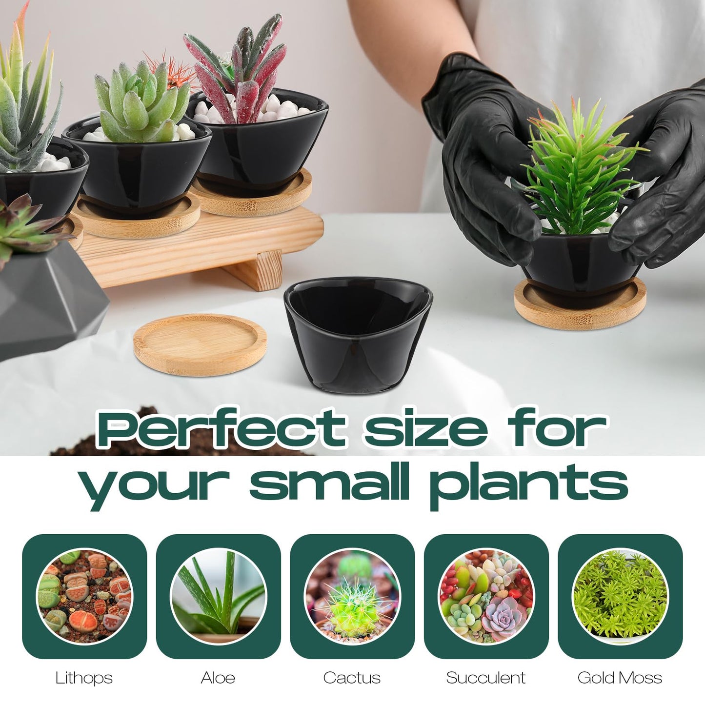 Domensi 12 Pack Succulent Planter Pots 3 Inch Small Plant Pots Mini Ceramic Succulent Planter Holder with Drainage Holes and Bamboo Saucers (White)