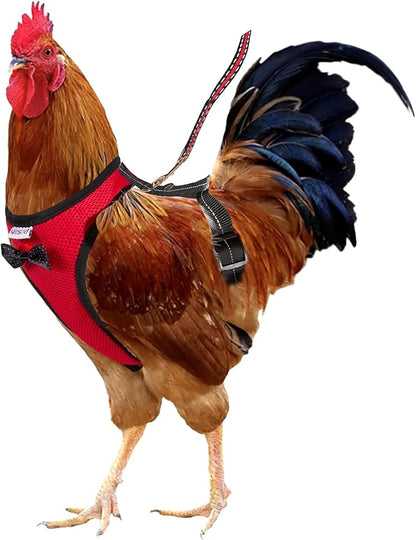 Adjustable Chicken Harness Diaper (5.4ft Leash) – Breathable & Washable Secure Training for Hens, Ducks & Chicks | Outdoor Walking & Discipline Solution,red