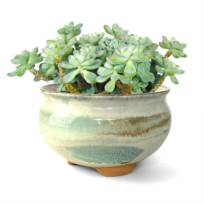 Summer Impressions 8 Inch Succulent Pot with Drainage and Saucer Glazed Terracotta Round Ceramic Succulent Planter Cactus Bonsai Plant Pot (Gream)