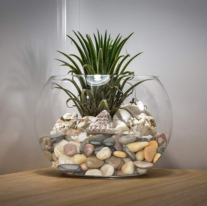 Mr. Fireglass Natural Polished Pebbles, 1 Inch Decorative Mixed Color Stones Aquarium Gravel River Rocks for Vase, Succulents, Landscaping and Home Decor (5-lb Bag)