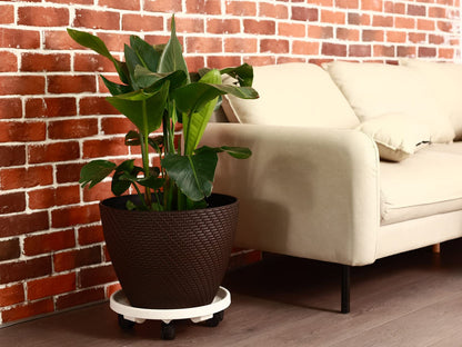 3 Pack Large Plant Caddy with Wheels 15.8" Rolling Plant Stands Heavy-duty Plastic Plant Roller Base Pot Movers Plant Saucer on Wheels Indoor Outdoor Plant Dolly with Caster Planter Tray Coaster White