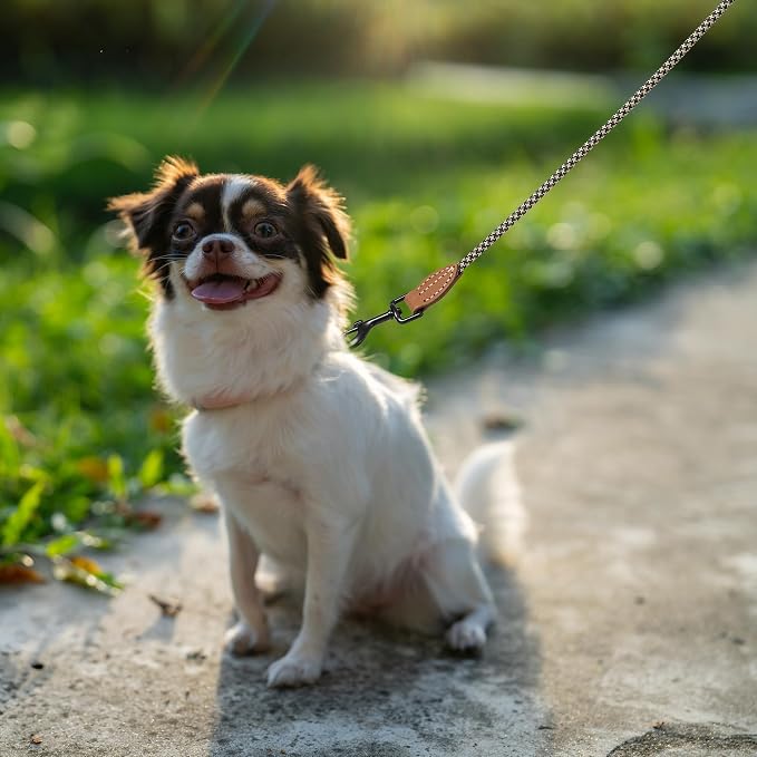 Mile High Life Small Dog Leash, Thin Rope Leash with Genuine Leather Connection and Heavy Duty Metal Clasp, Great for Small Medium Dogs(Black Khaki,48 Inch-1/3)