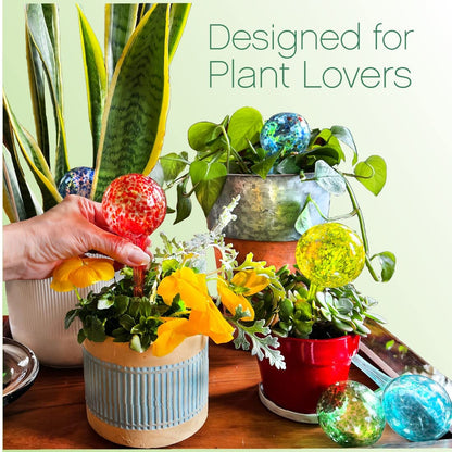 Trenton Gifts Plant Watering Globes - 6-Pack Self Watering Bulbs for Indoor and Outdoor Plants - Hand-Blown Decorative Glass Water Globes - 6" L x 2.5" D - 150ml