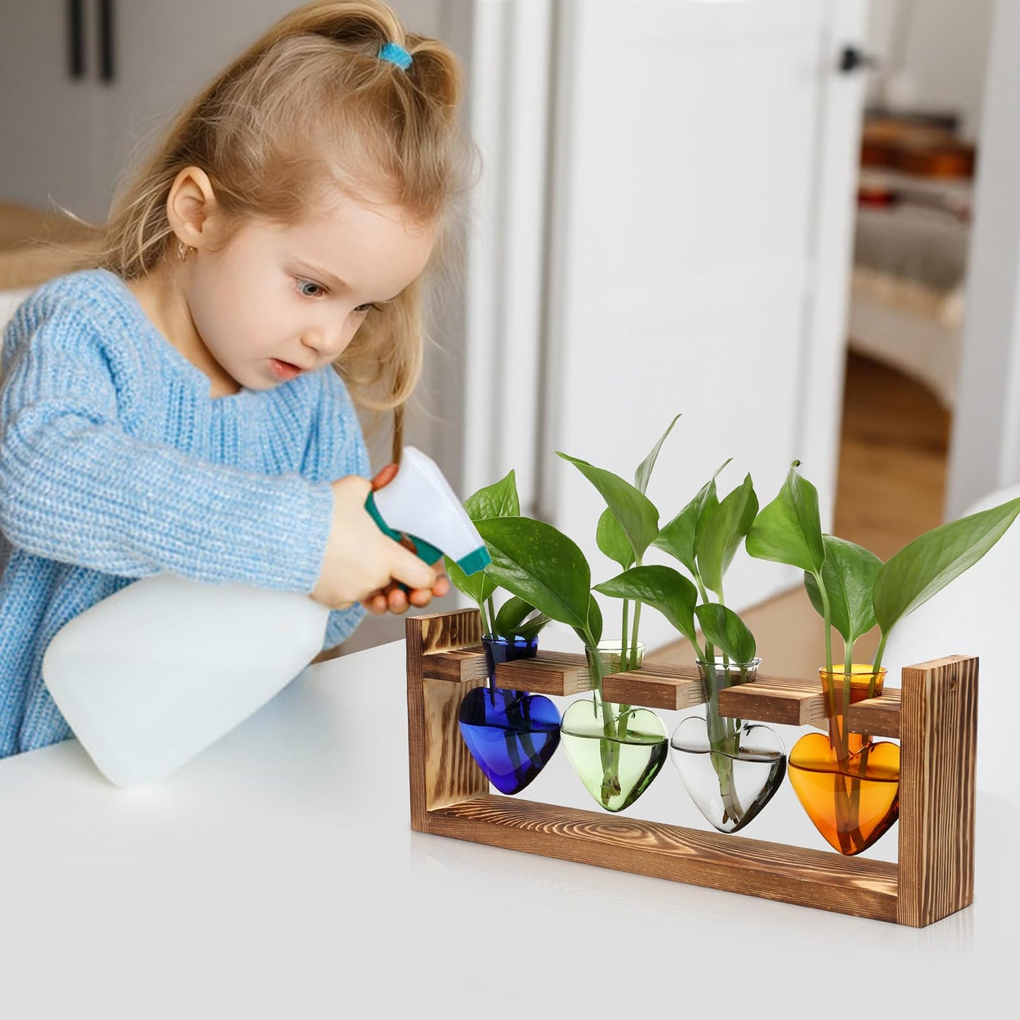 CYZglass Plant Propagation Stations Heart Plant Terrarium Kit Gift for Women Plant Lover Glass Vases