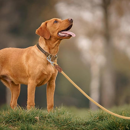 Mile High Life | Premium Leather Handle Dog Leash | Strong Rope Leash | Zinc Alloy Strong Clasp | Small Medium Large Dogs | 4/5/6 Feet(Yellow, 72 Inch (Pack of 1))