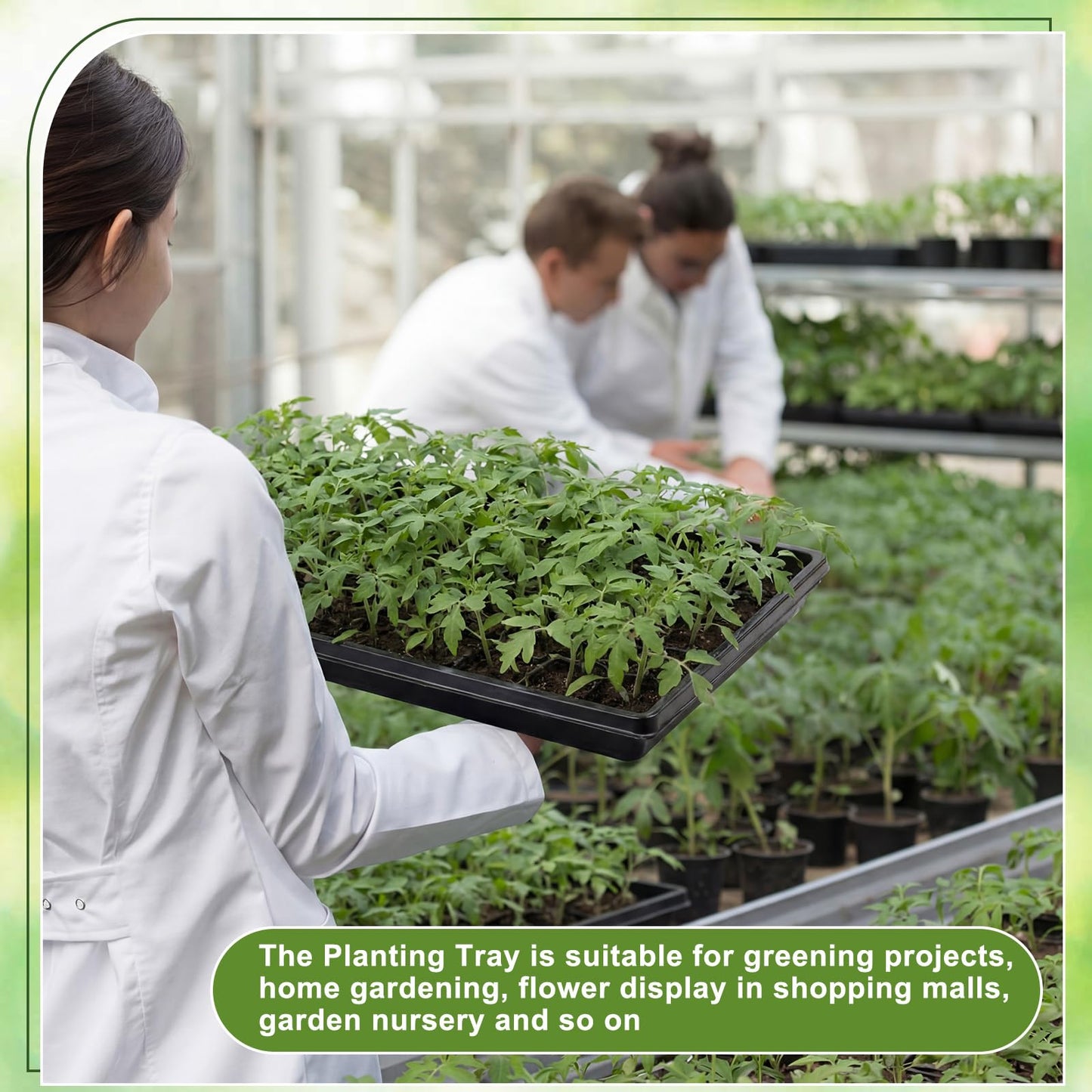 Vesici 20 Pack 1020 Seed Starting Tray Heavy Duty Plant Growing Flat Seedling for 72/128 Cell Plug Plant Nursery Tray No Hole Germination Transplant for Microgreens Gardening Greenhouse (L)
