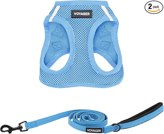 Best Pet Supplies Voyager Step-in Air All Weather Mesh Harness and Reflective Dog 5ft Leash Combo with Neoprene Handle, for Small, Medium and Large Breed Puppies - Baby Blue, XXX-Small
