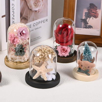 M METERXITY Cloche Glass Dome, 3.9"x2.4" Glass Display Case with Wooden Base for DIY Snow Globes/Small Plants/Flowers/Candles/Models/Souvenirs, Tabletop Centerpiece [Burnt]